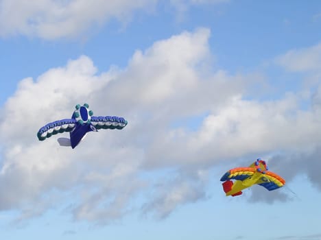 Colorful dragons
