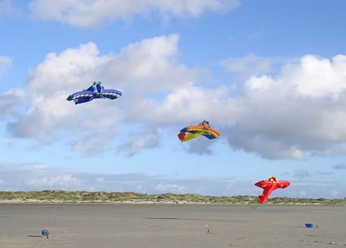Dragons on the beach