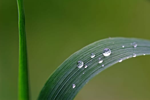 May Rain