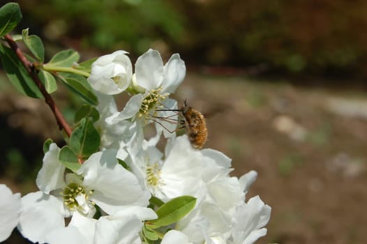 Entomologist gets in touch