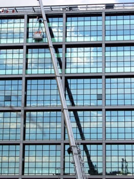 Window cleaner