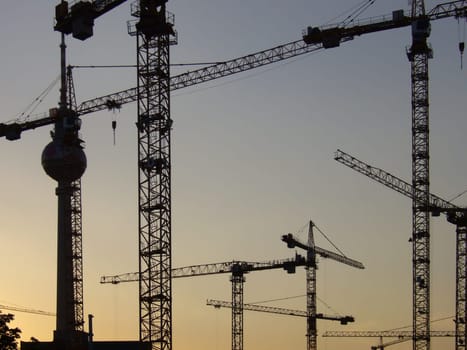 Cranes