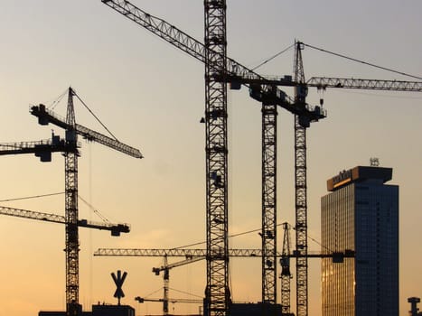 Cranes