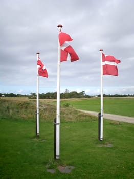 Waving flags