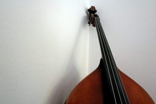 Bass1