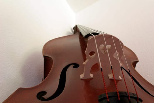 Bass2