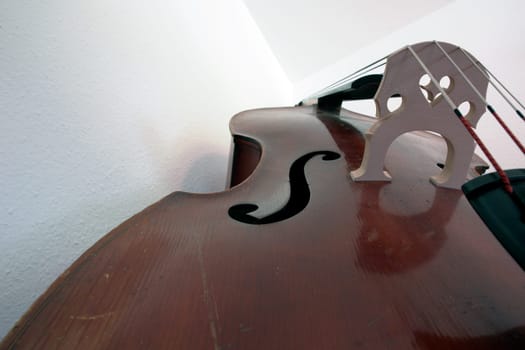Bass6