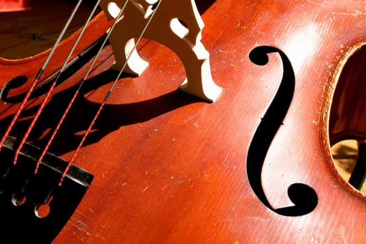 Bass5