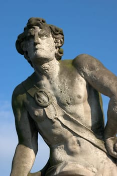 The Fighter