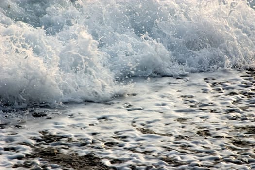 Surf