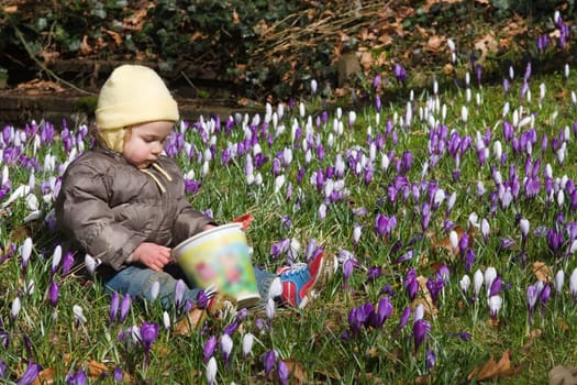 Little child sitting in a sea of crocus flowers