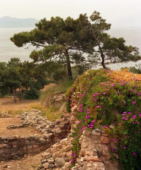 Remains of foundations of medieval fortifications on Aegina Colona - 6x7