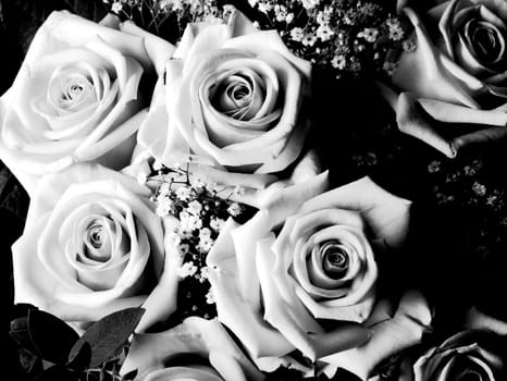 Bouquet of roses I