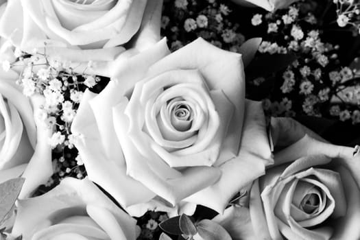 Bouquet of Roses II