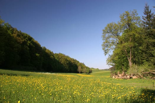 Pure nature