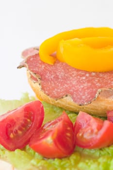 Salami rolls