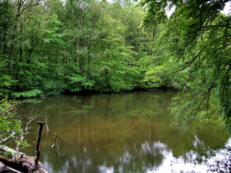 Upstream and downstream of this section,2 hydroelectric power plants were built at the beginning of the last century,as the river offers a sufficient natural gradient.