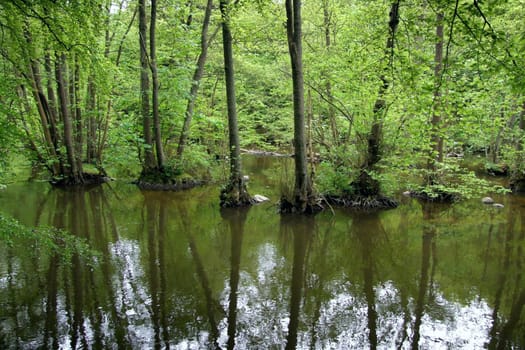 One of the most beautiful rivers in the Kiel area,the Schwentine Valley.
