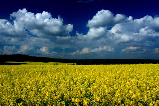 An impression in beautiful May weather near Weissach in Baden-Württemberg. Taken with polarizing filter.