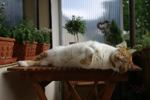 Sunbath