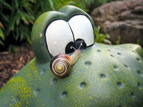 Our garden frog was harassed by a little Schneck,so he looked anxiously :-)
