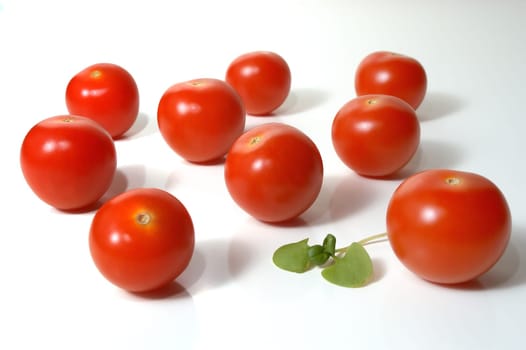 Tomatoes 02