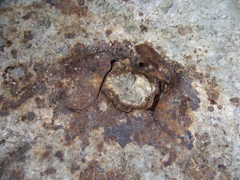 Rust