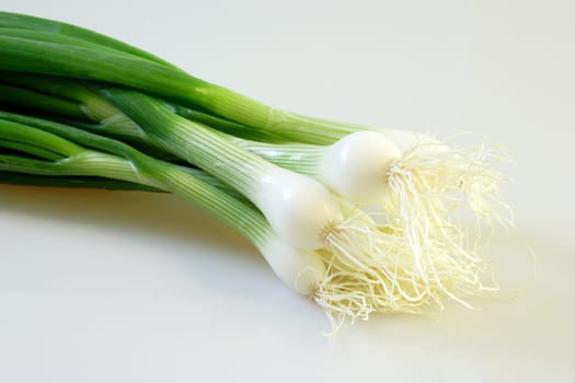 Spring onion