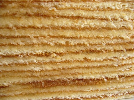 Kitchen detail (sponge cake)