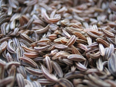 Caraway seeds