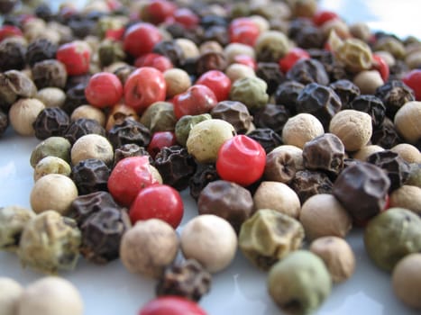 Pepper colorful