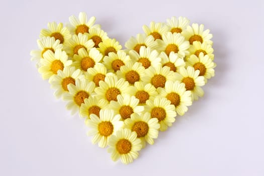 Flower Heart