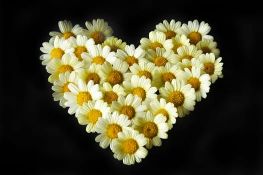 Flower Heart