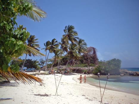 Bacardi Island