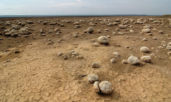 Drought