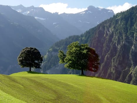 Uri soil Mountain landscape in Central Switzerland Switzerland