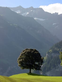 Uri soil Mountain landscape in Central Switzerland Switzerland