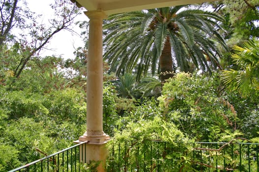 Garden of Eden