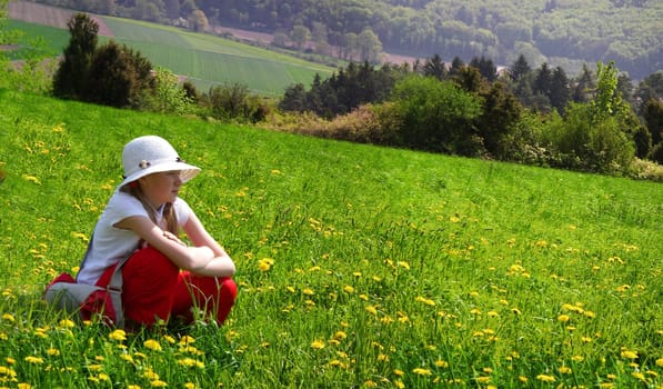 Flower meadow