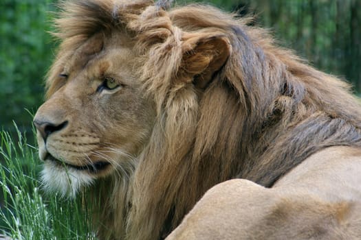Always nice and vigilant...