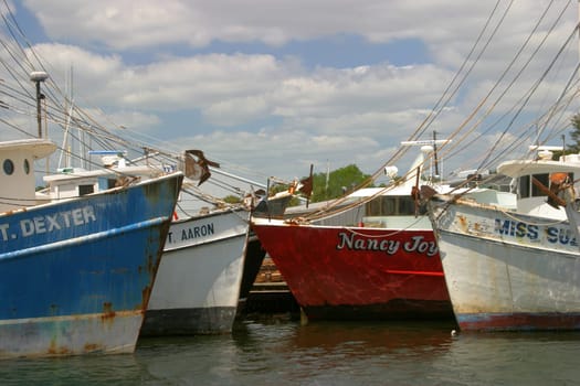 Tarpon Springs