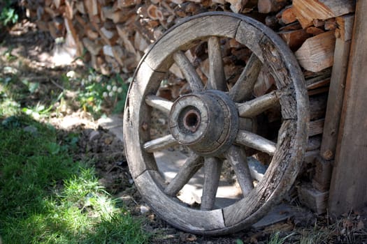 Wheel
