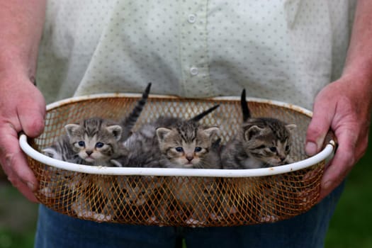 All together