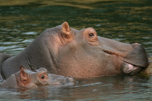 Mother's happiness
