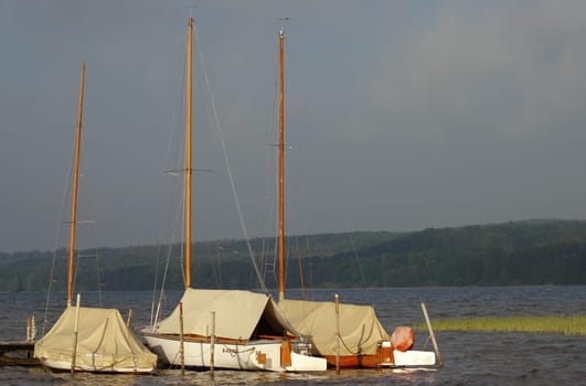 The Sailing Club