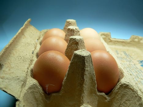 Eggs in a carton