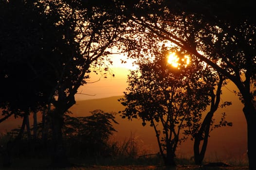 Evening