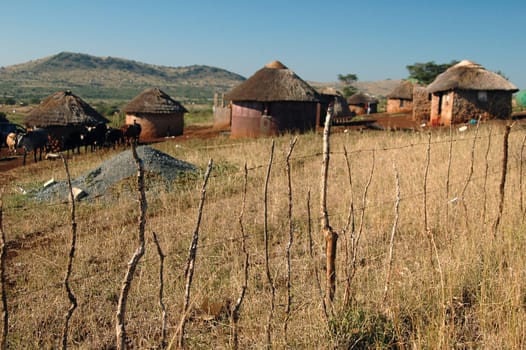 Village