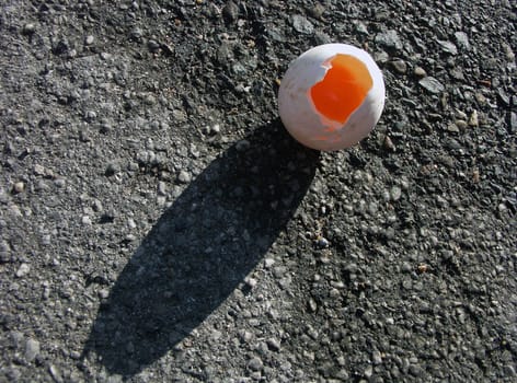 Damaged egg