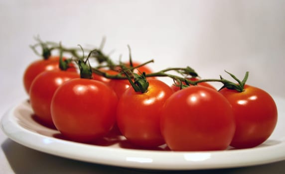 Tomato Plate